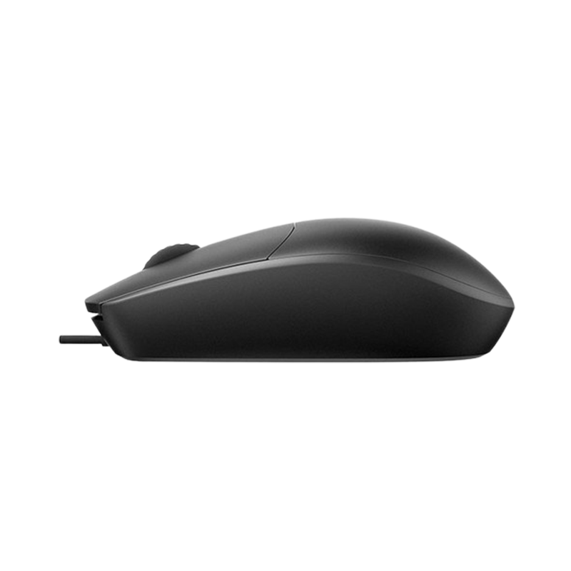 RAPOO N100 MOUSE