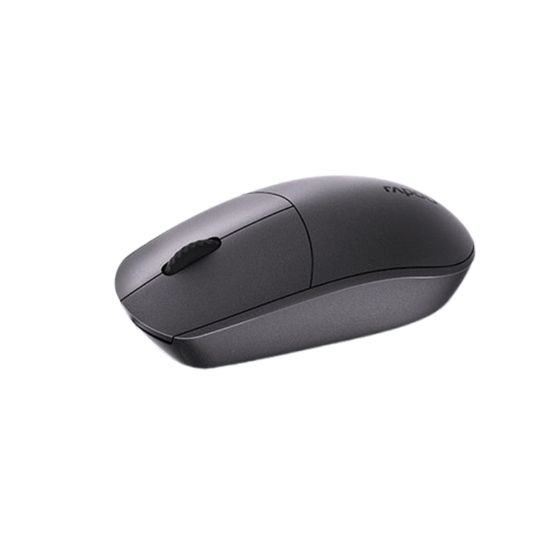 RAPOO N100 MOUSE