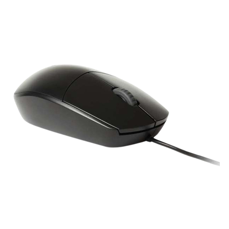 RAPOO N100 MOUSE